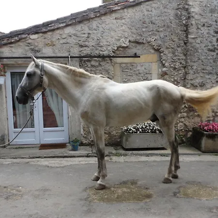 Des Ecuries Du Seillery *